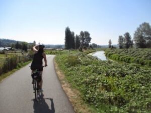 woodinville bike wine tour